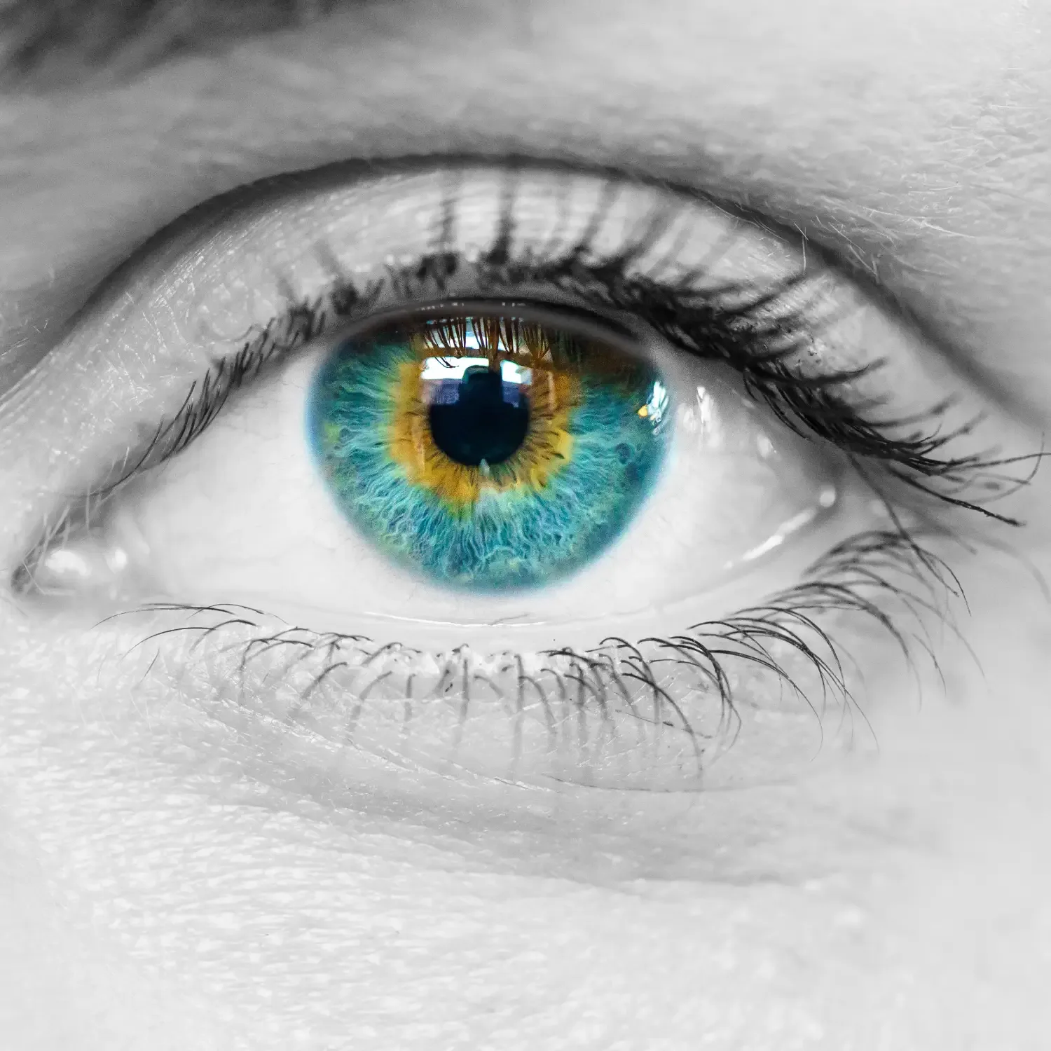 Eye Care Treatments treatment image